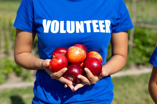 Volunteer holding fresh apples supporting community harvest