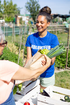 Volunteer giving fresh vegetables to woman outdoors