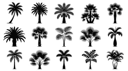 Fototapeta premium Tropical Palm Tree Silhouettes Vector Icon Set for Nature, Travel, and Summer Design