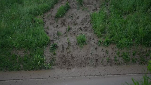 torrential rainfall, heavy rain fall, flood, mud streams running down the street, downpour 