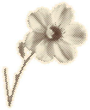Y2k Maximalist Flower Scrapbook