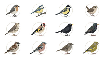 Realistic color bird illustrations in circular frame set. © difka