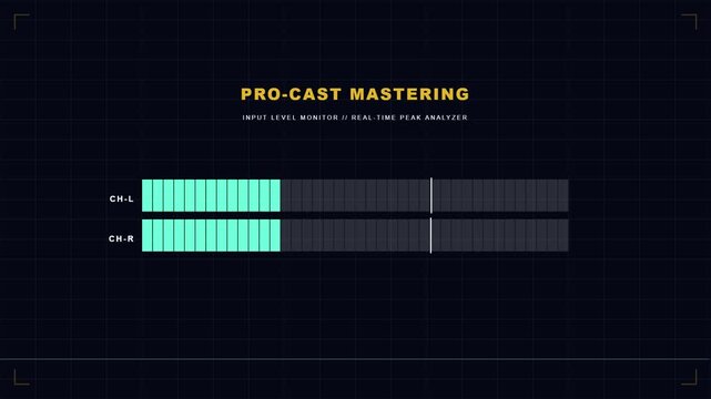 Digital Audio Level Monitor Showing Real-Time Peak Overload Signal