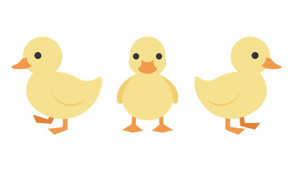 Fototapeta premium Set of three cute yellow cartoon ducklings standing in a row, showing a profile view, front view, and angled perspective.