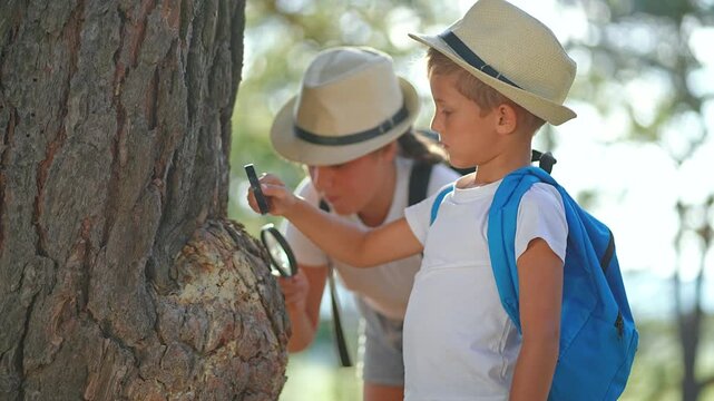 Explorer boy investigates forest closely. Backpack helps student carry tools. Child and girl act as learners. Nature gives space for explorer. Forest is where child, student, and learner grow strong.