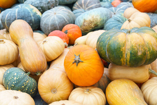 Orange and green pumpkins displayed on hay bales at an autumn harvest festival. Rustic seasonal scene with colorful squash and gourds, perfect for fall and Thanksgiving themes.