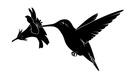 Hummingbird and Flower Silhouette Vector Illustration © maman