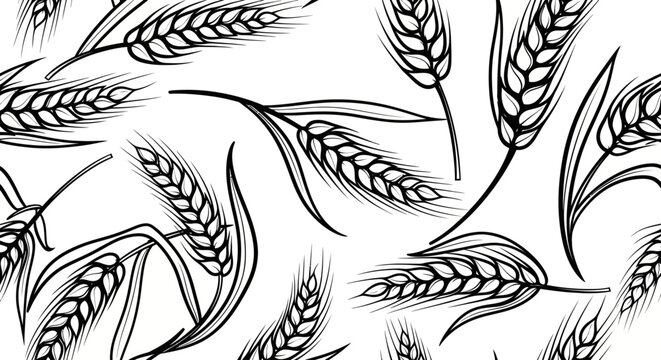 Black and White Wheat Ear Seamless Pattern Vector