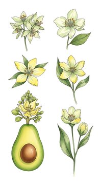 Collection of Various Flower and Plant Illustrations for Botanical Design.