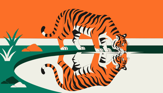 tiger on a white background