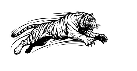 vector illustration of a tiger © Rimu