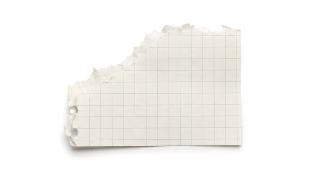 A piece of torn graph paper lies on a white surface.