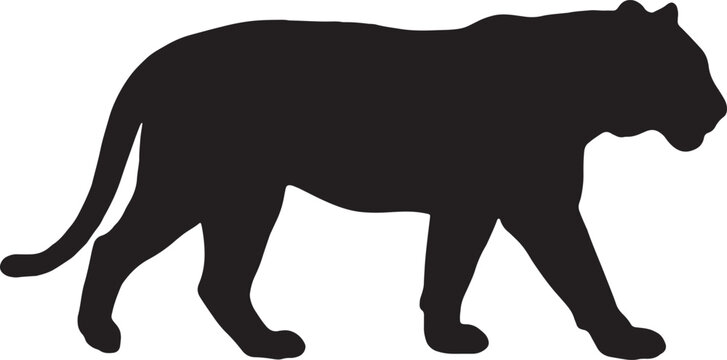 Tiger Silhouette On White Background A Detailed Animal Shape