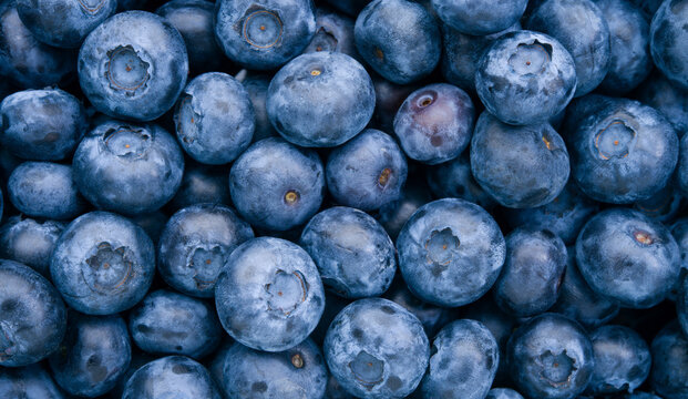 Blueberry background close up top view