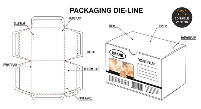 Packaging Die Line Design and Box Template Illustration.