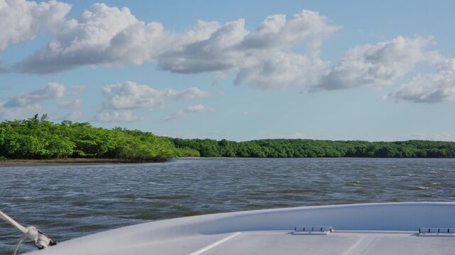 Sailing along the scenic river mangroves of Munda&uacute;, Brazil. Point of view from a speed boat.