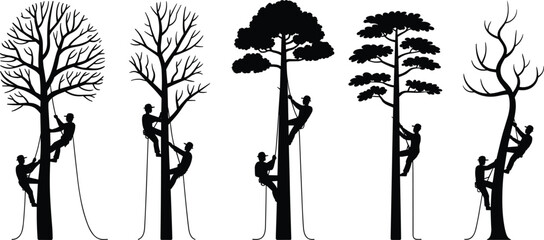 Black and white line of five different trees with varying leaf shapes line tree silhouette de © Rezwan