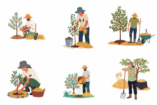 Illustration set of gardeners and farmers mulching fruit trees with straw, featuring various tools and techniques for organic gardening and soil protection.