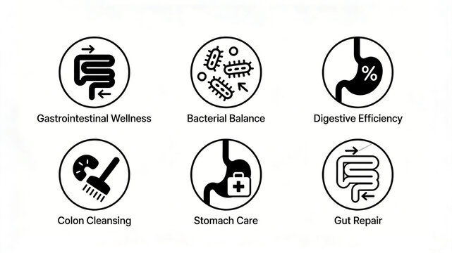 The colon probiotic stomach medical vector icon represents the concepts of intestinal maintenance, microbiota balance, and mild intestinal and gastrointestinal regulation.
