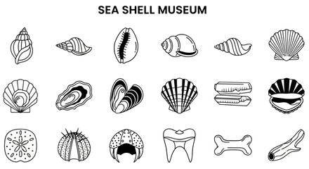 A collection of 18 black and white lineart icons depicting various shells marine organisms and organic shapes on a white background © Julian Vance