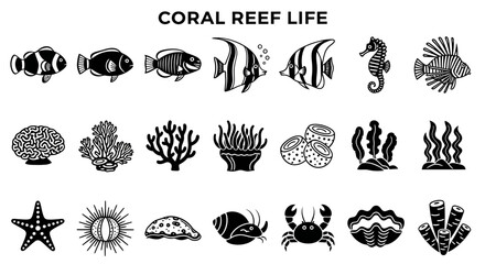 A grid of 21 blackandwhite vector icons depicting diverse marine life and coral reef species © Julian Vance