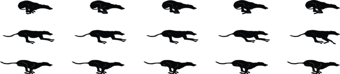 Running cheetah silhouette collection featuring sprinting big cat in multiple motion poses, wildlife predator black vector illustration set © samsul