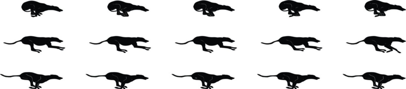 Running cheetah silhouette collection featuring sprinting big cat in multiple motion poses, wildlife predator black vector illustration set