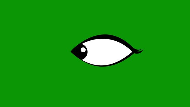 Cartoon blinking eyes animation, Animated cartoon eyes blinking on green background looking around and up and down, funny blinking eyes for character design, 2d Animation with alpha channel. 4k video