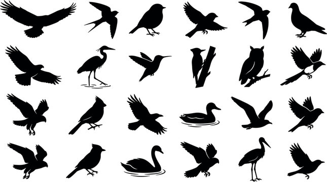 Flying and Perching Bird Silhouette Icon Set with Eagle Owl Swan Hummingbird and Raven Vector Graphics for Wildlife and Nature Design Projects