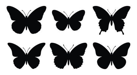 Butterfly silhouettes a collection of six black vector shapes on white © Nayem