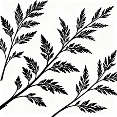 Fototapeta premium Black Fern Silhouettes on White Background