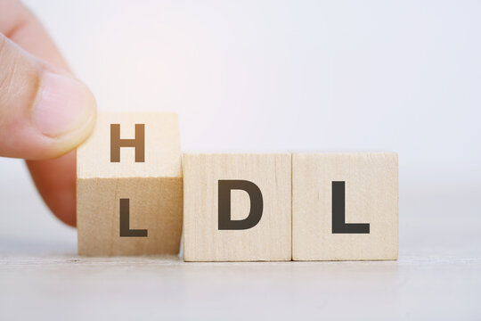 wood cube block shape with sign HDL and LDL or Good fats and bad fats.