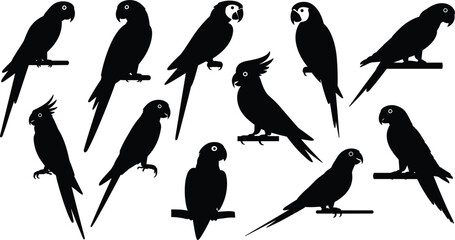 Tropical exotic parrot silhouette vector collection featuring various wild birds like macaws and cockatoos sitting on branch perches isolated on white background. (21 words) © Md