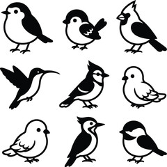 A delightful selection of nine uncomplicated vector illustrations featuring various species of small garden birds in black and white silhouette sketch layout technique. © Munna_SH