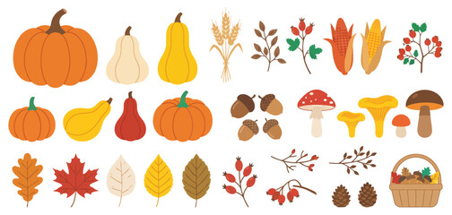 Autumn harvest illustration pumpkins squash grains berries and fall foliage collection © Rajibul