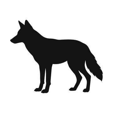 Black wolf silhouette, standing wolf icon, canine vector, animal symbol isolated on White Background