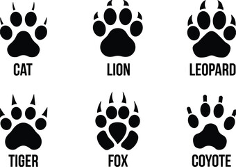 Black and white of six different wild cats: cat, lion, leopard, tiger, fox, coyote felines de © Md2003