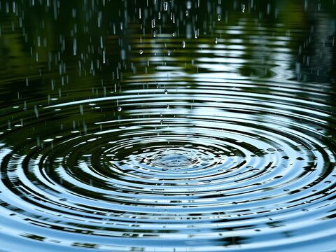 Ripples spread across calm pond surface as raindrops fall gently, ||water, reflection
