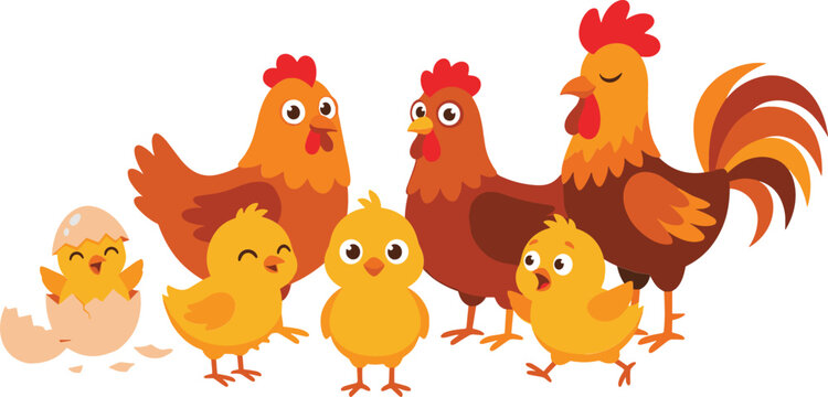 Cute chicken family vector illustration set featuring proud rooster hen mother sweet yellow chicks and small baby bird hatching from egg shell isolated on white background