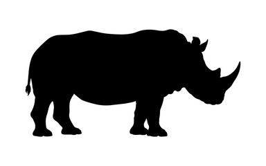 Silhouette of a wild rhinoceros standing in side profile view © ZamStock