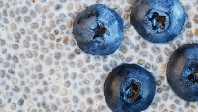 Macro shot of chia pudding in almond milk with fresh blueberries top view background. Healthy dessert organic texture for design project, menu, food banner, social media post and wellness advertising.
