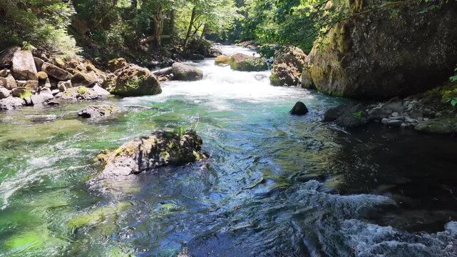 Fresh water flows down the Clackamas River in Northwestern Oregon, not far from Salem. Originating in the Mt. Hood National Forest, this beautiful 83-mile river is a tributary to the Willamette River.