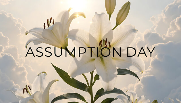 Assumption Day text with white lilies and soft clouds illuminated by sunlight flowers