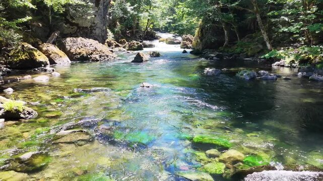 Fresh water flows down the Clackamas River in Northwestern Oregon, not far from Salem. Originating in the Mt. Hood National Forest, this beautiful 83-mile river is a tributary to the Willamette River.