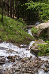 Flowing stream cascades over rocks with lush greenery on the banks and a wooden bridge visible in the background under natural light © Anat art