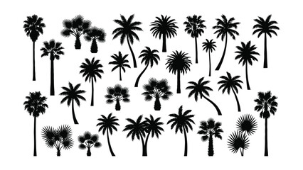 Collection of various black palm tree silhouettes on white background © Md. Musaddik Rahman