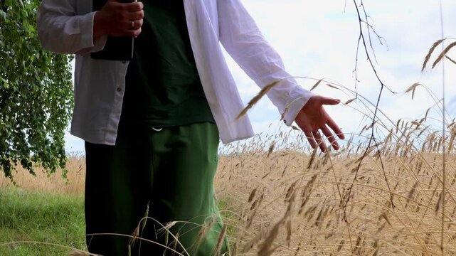 Middle aged man walks slowly along ripe wheat field holding tablet and gently touching wheat ears with his hand in slow motion. Concept of digital agriculture, crop monitoring, modern farm management