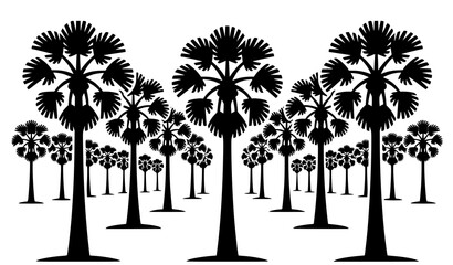 Elegant Black Palmyra Palm Plantation Silhouette Vector Illustration © Md