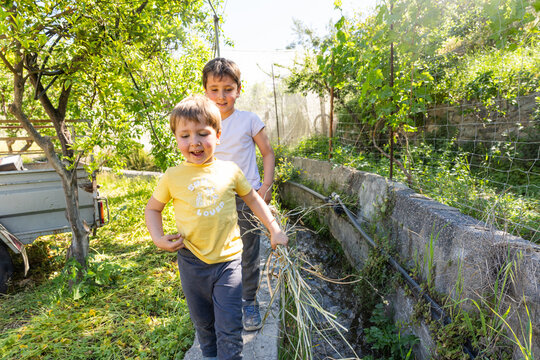Young boys helping with gardening chores outdoors