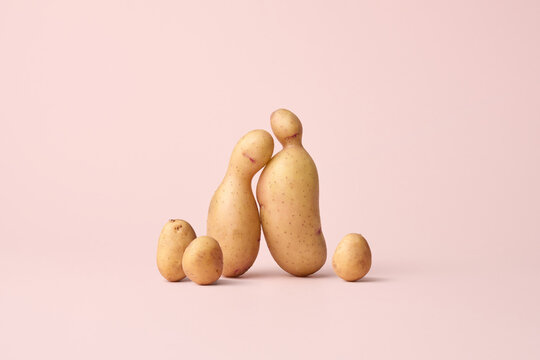 Potato couple with small ones as family